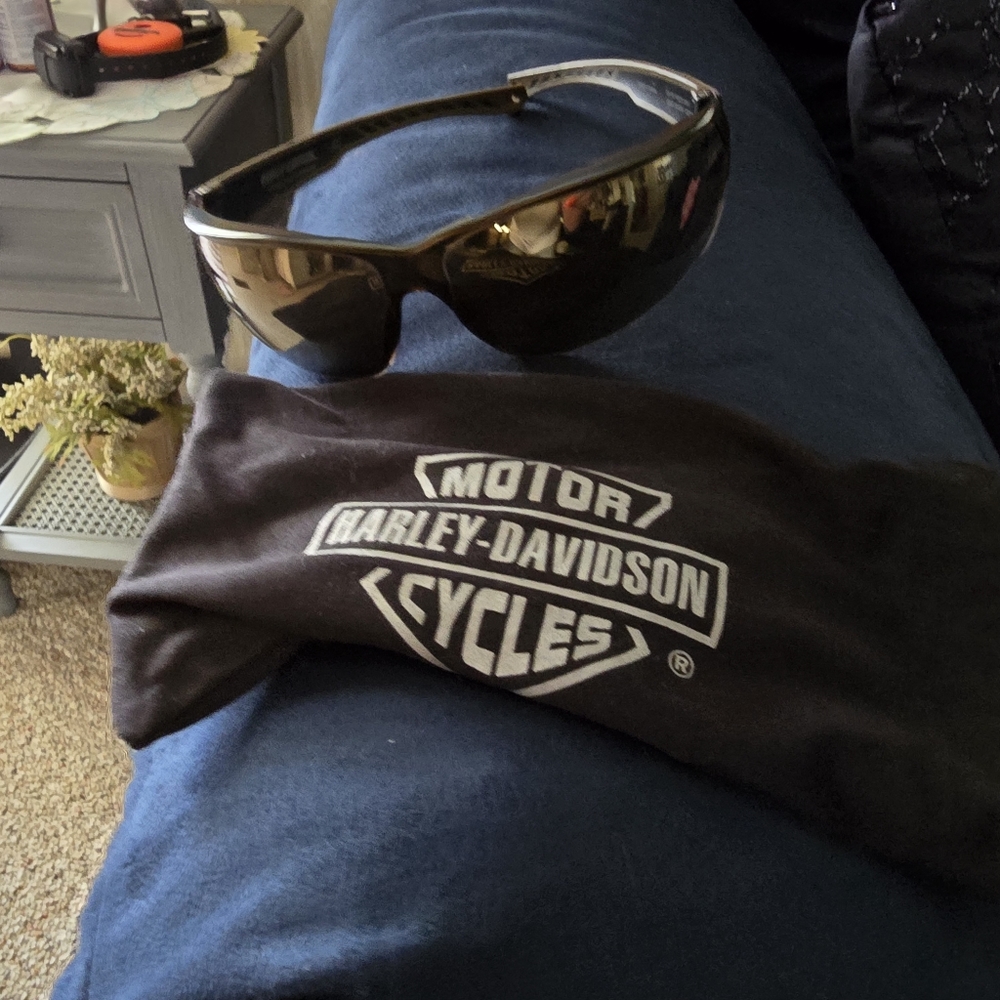 Men's Harley Davidson Sunglasses